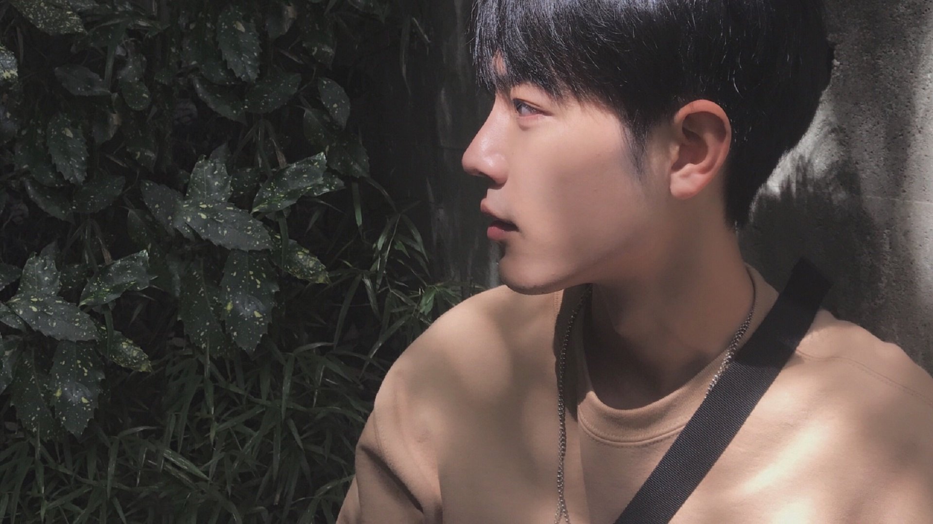 开yun官网-新闻中心推动企业文化建设，企业文化建设报道